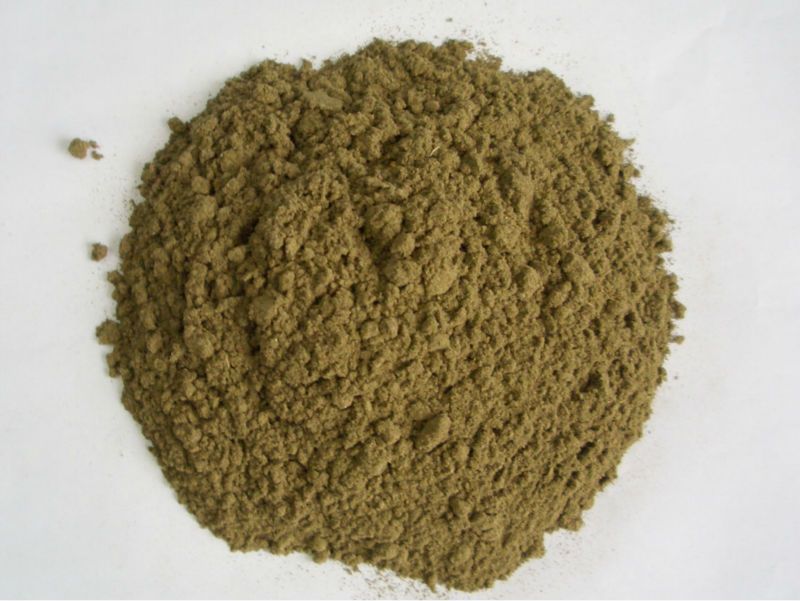 wormwood powder