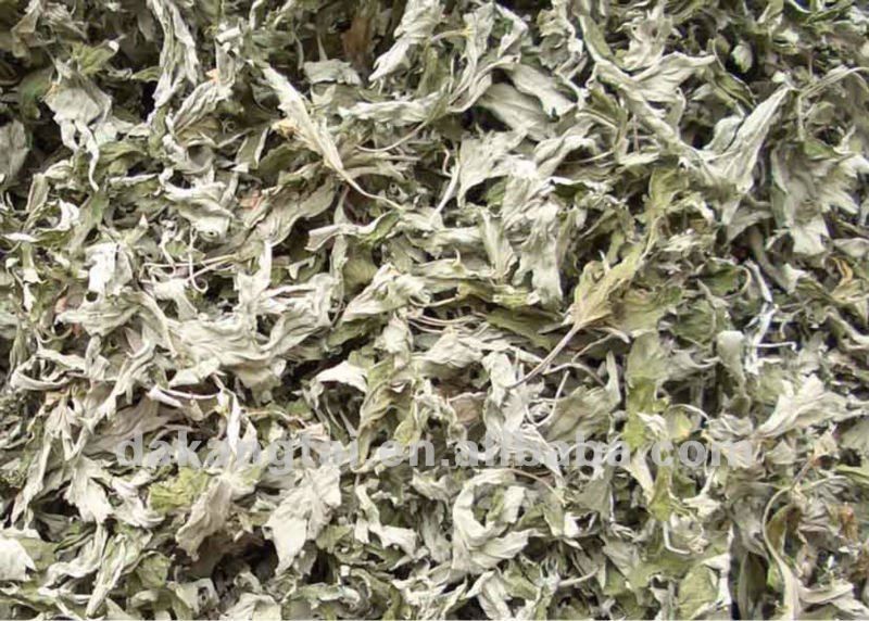 dried wormwood leaf