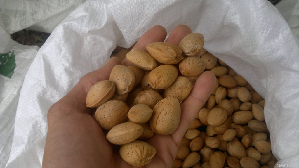 Spanish almonds