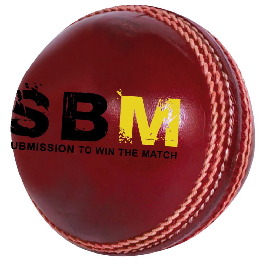 Cricket ball in leather with Branding logo