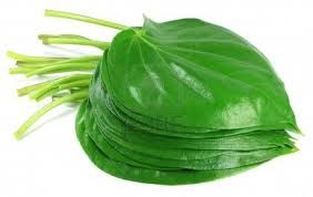 Betel leaf