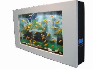 aquarium