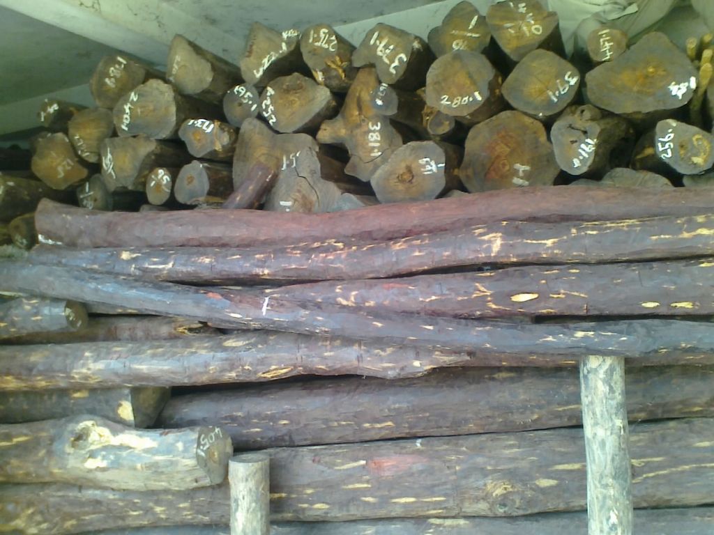 Red Sandalwood