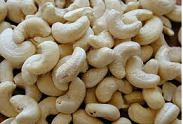 Dried Fruits | W240 Cashew Nuts Suppliers | W320 Cashew Nut Exporters | Cashew Nut Suppliers | Cashew Nut Exporters | Cashew Nut Manufacturers | Cheap Cashew Nut | Wholesale Cashew Nut