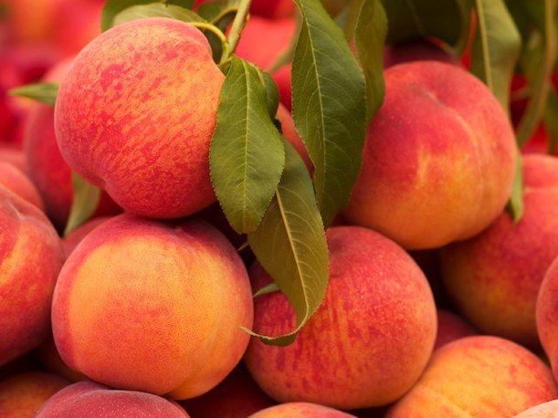 Organic and common peach