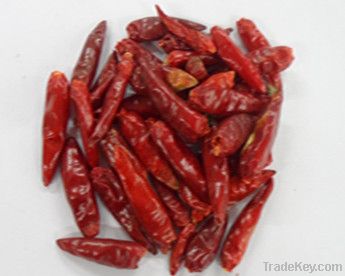 Chaotian chili for sale