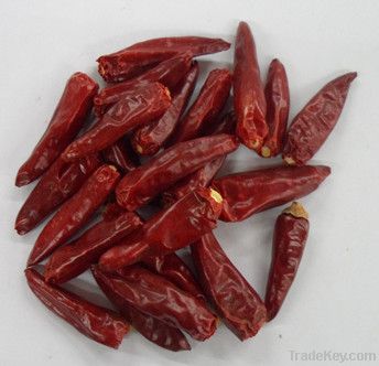 Bullet chili for sale