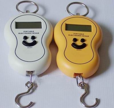 Portable Hanging Scale NS-1