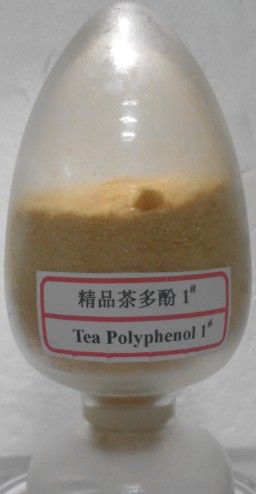 Green tea polyphenols