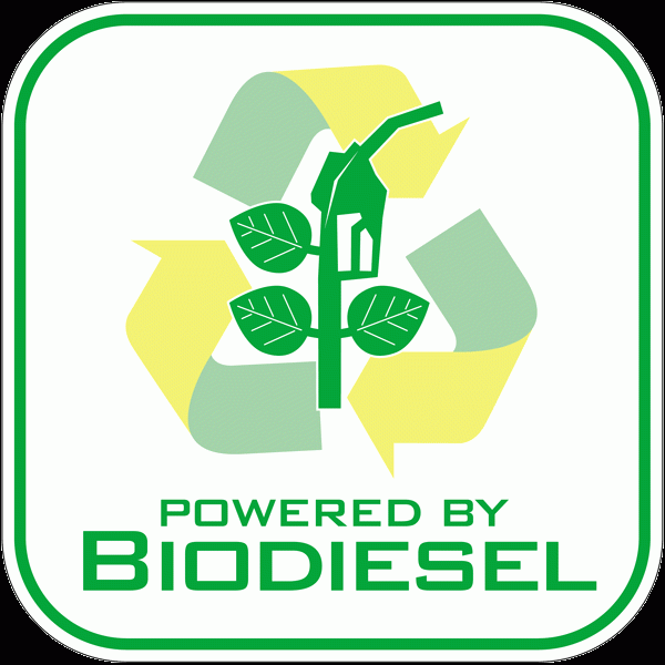 Used Cooking Oil UCO for biodiesel 
