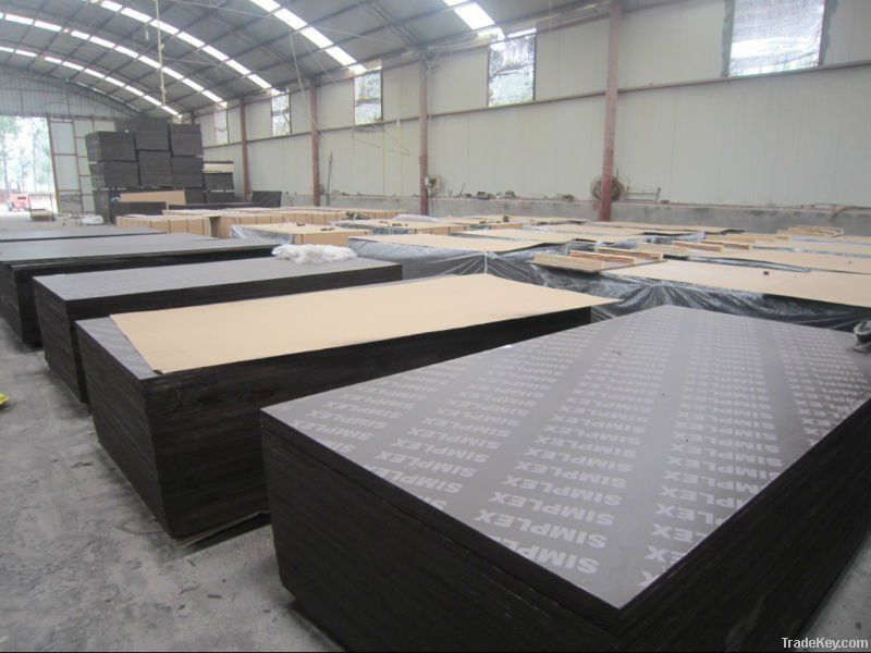 Film faced plywood for construction