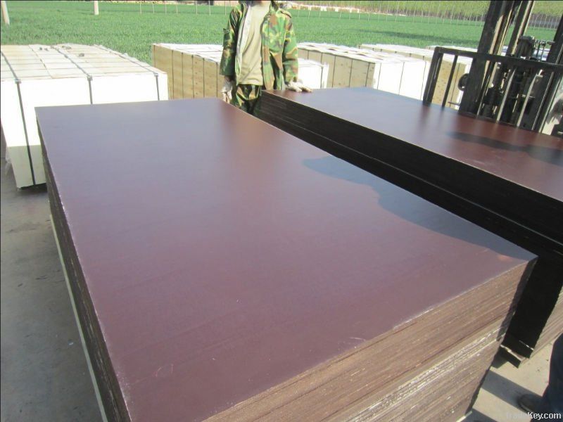 High quality marine plywood/waterproof plywood/shuttering plywood