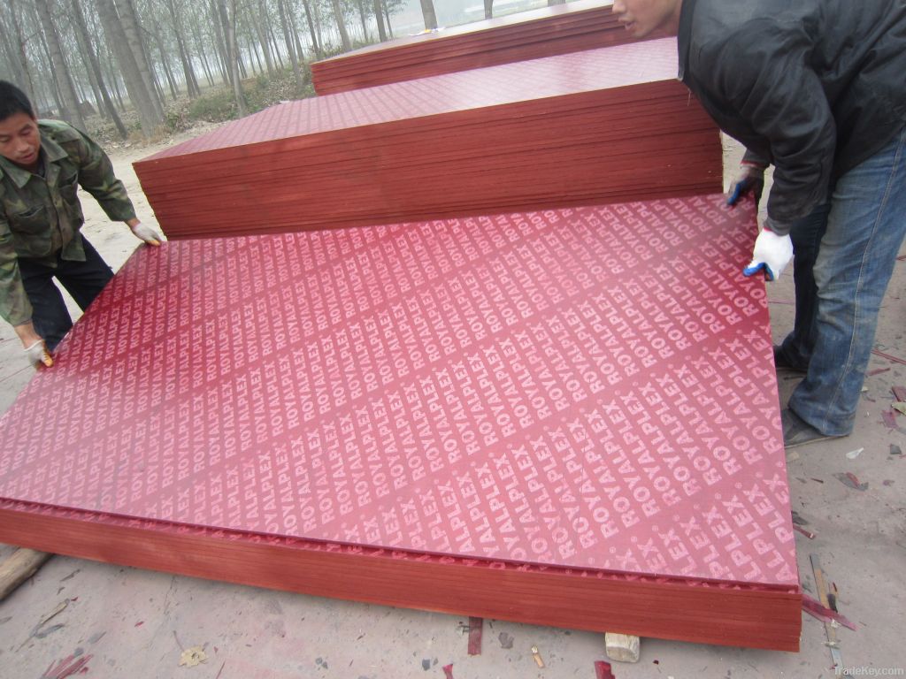 China shandong plywood manufacturer