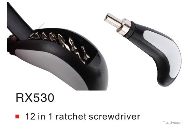 12 in 1 New Design Portable Rachet Screwdriver Set Hand Tool
