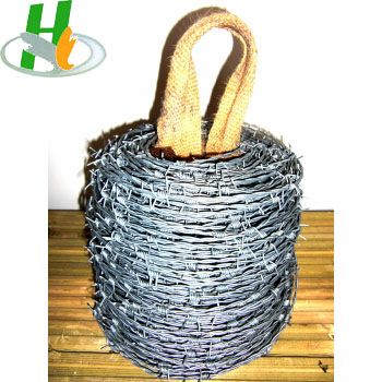 Hot-dipped&amp;Electro Galvanized Barbed Wire