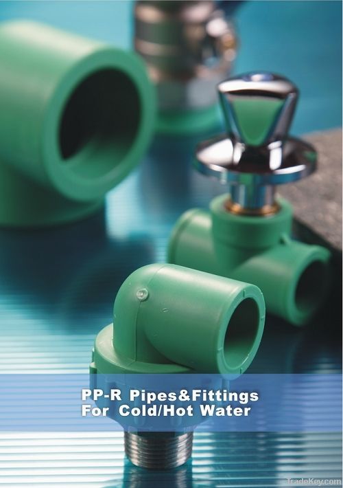 PPR Pipes and PPR Fittings