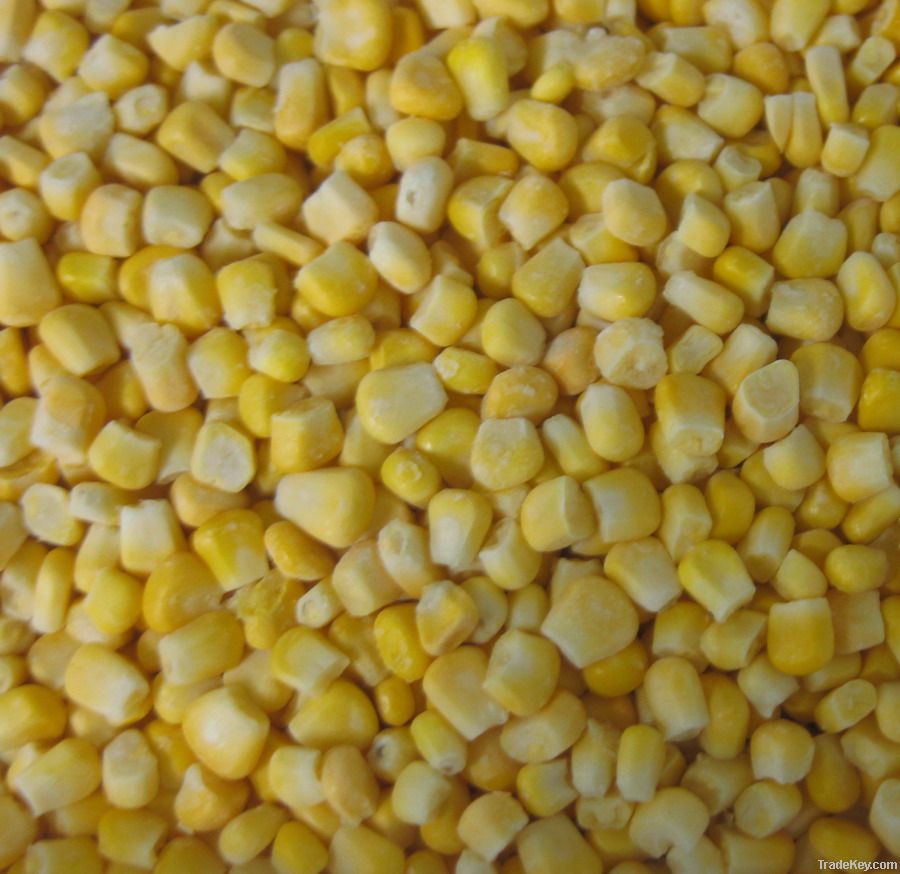 IQF sweet corn kernels