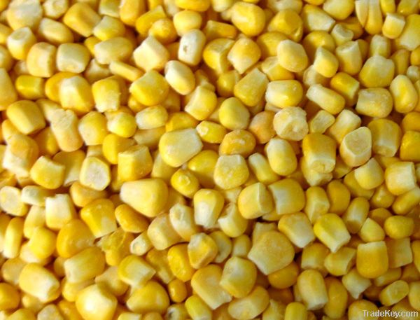 IQF sweet corn kernels