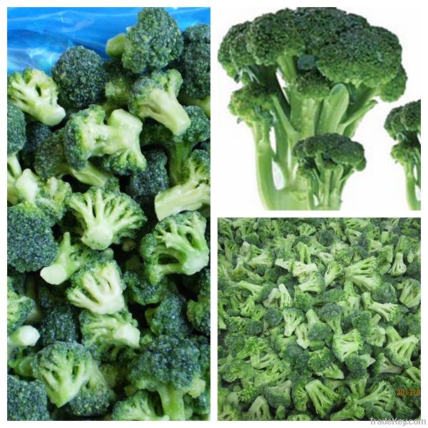 IQF broccoli