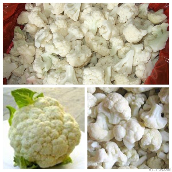 IQF cauliflower  (2-4/3-6cm)