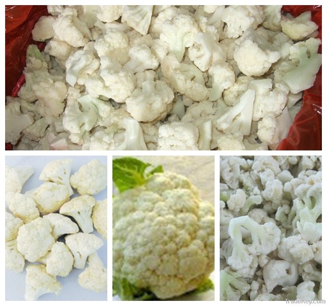 IQF cauliflower  (2-4/3-6cm)