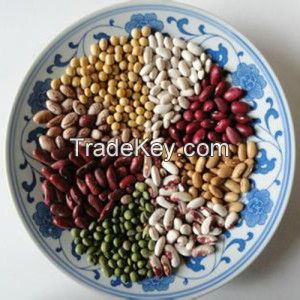 Red and white Kidney Beans