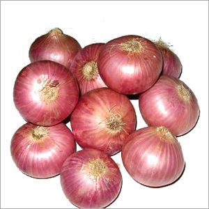 Excellent red onions