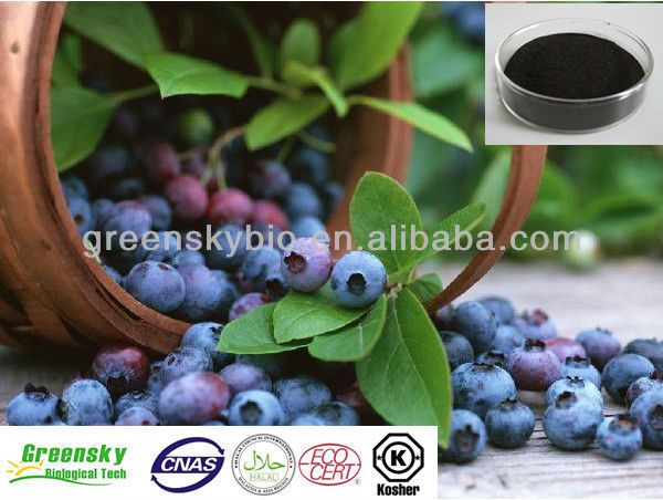 Bilberry extract Anthocyanin 25% 
