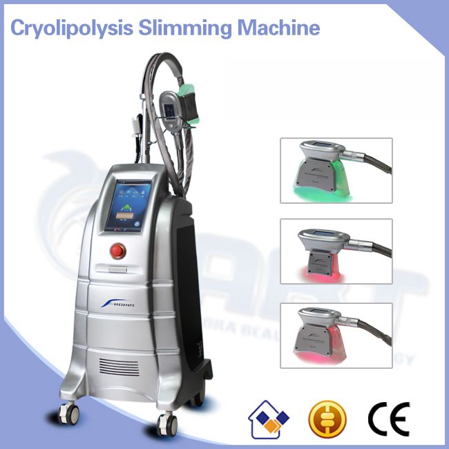 Cryolipolysis Fat Freezing machine for body weight loss