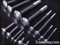 Pan head square neck carriage bolts