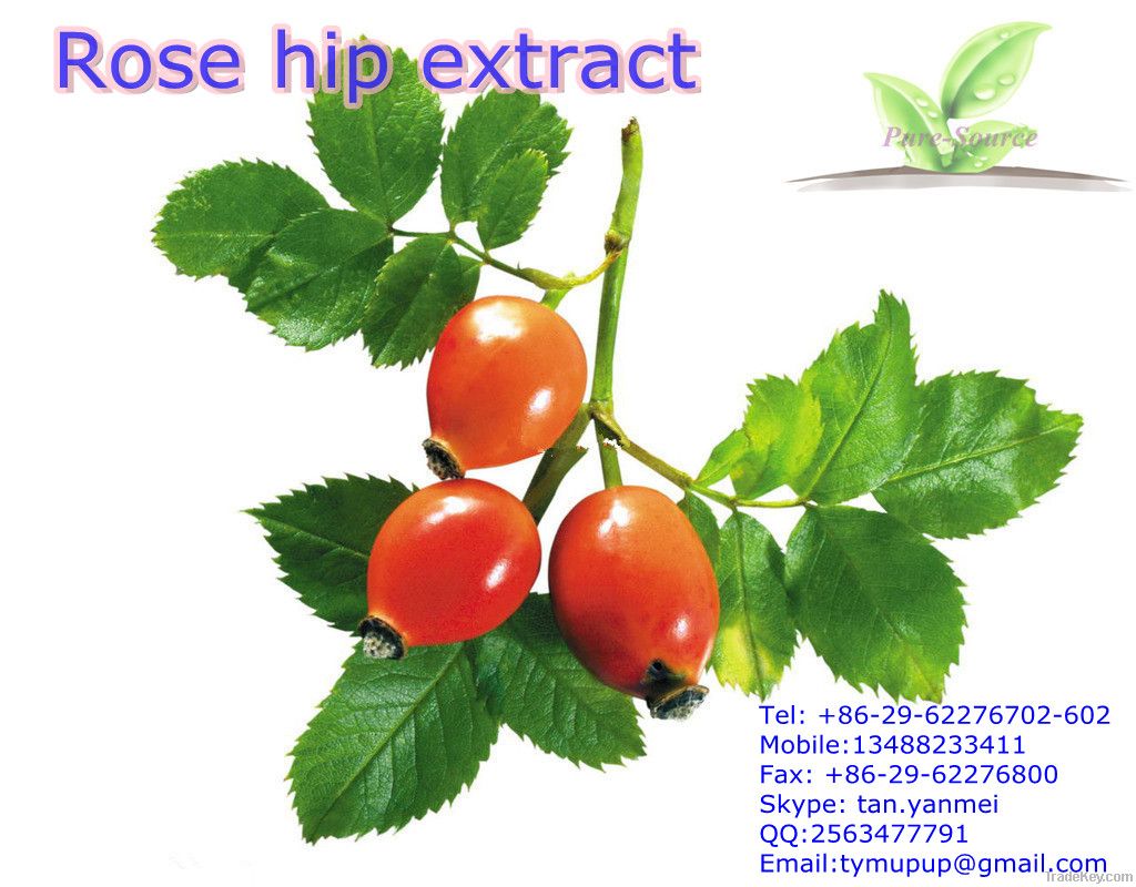 Rose hips Extract