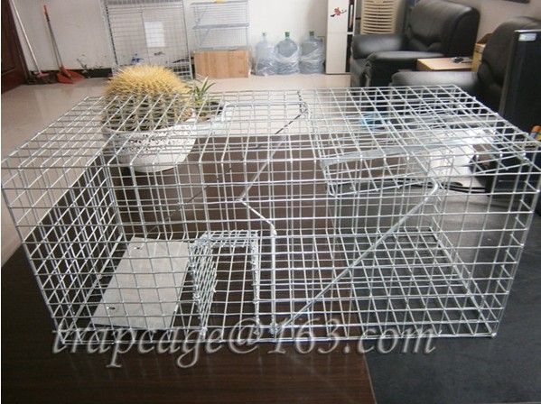 welded live animal traps
