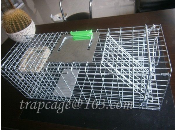 welded live animal traps