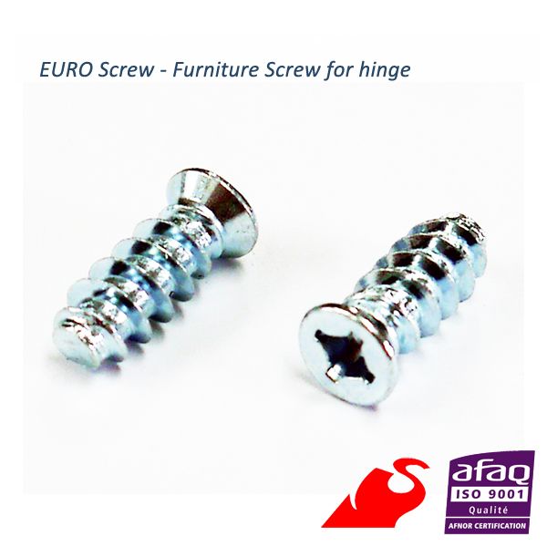 euro screws (for cabinet hinge)