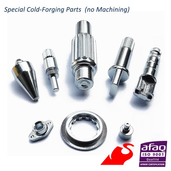 special cold-forging parts (OEM)