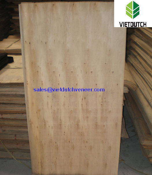 Eucalyptus core veneer