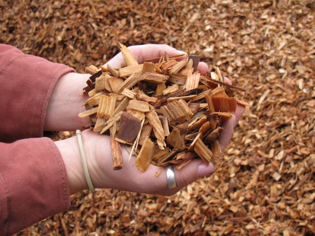 Pine Wood pellets and Wood Briquettes
