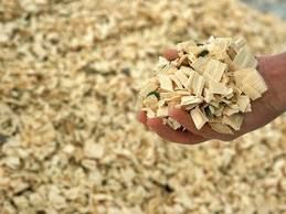 wood chips for  pulp  , wood pellets  chips