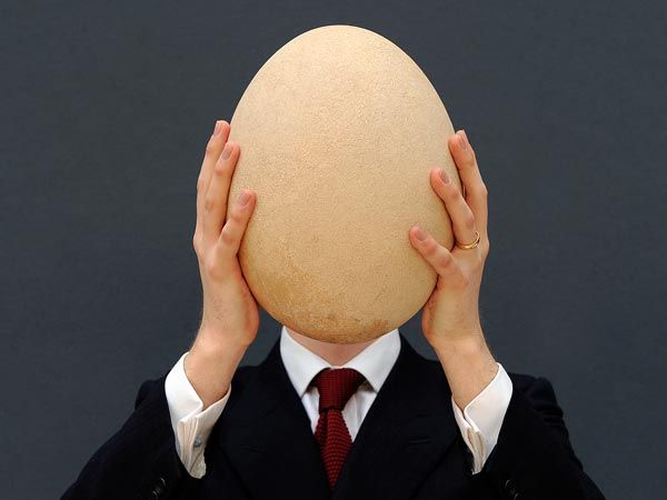 Elephant Egg