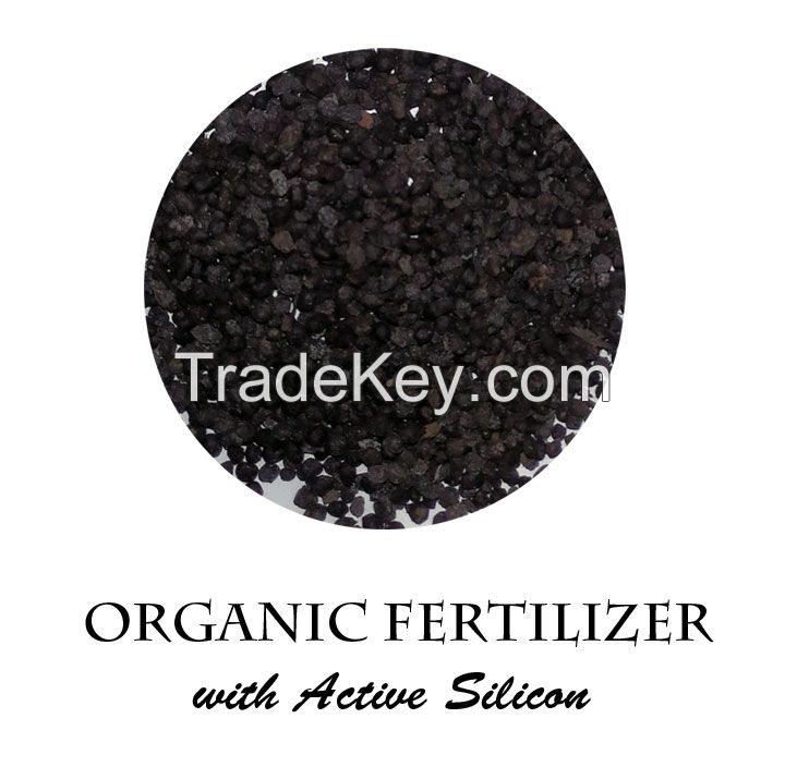 Silicon rich organic fertilizer
