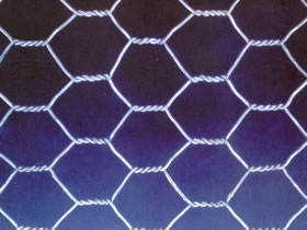 hexagonal wire netting