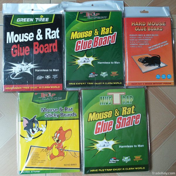 rat &amp; mouse glue traps