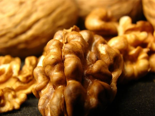 pumpkin kernels walnuts beans