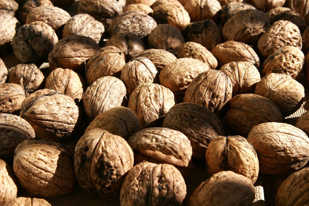 Walnuts, beans, pumpkin seeds