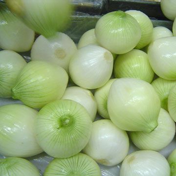 FRESH ONION FROM SOUTH AFRICA