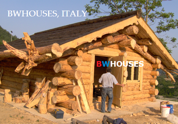 lowcost wild log houses