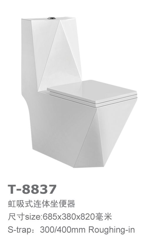 TOMEN one-piece toiletT-8837