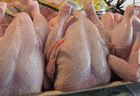 Whole Frozen Chicken Halal