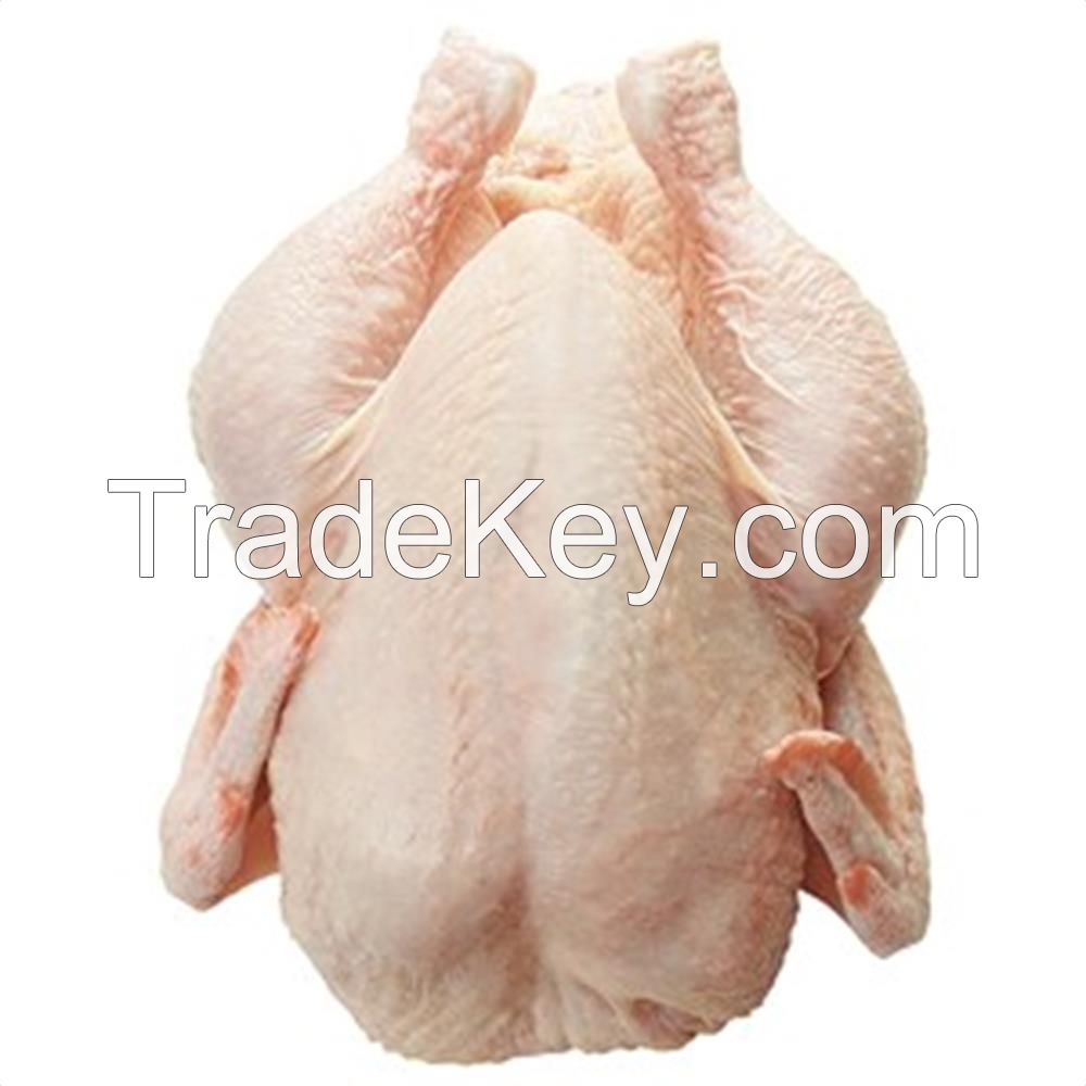 PREMIUM QUALITY FROZEN WHOLE CHICKEN AVAILABLE FOR EXPORT