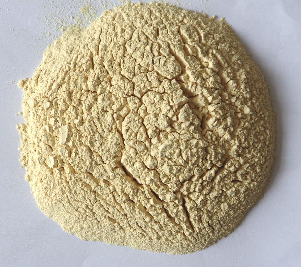 High quality Dehydrated Ginger powder